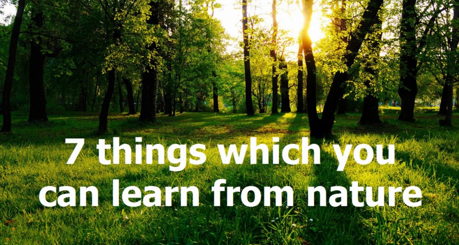 7-things-nature